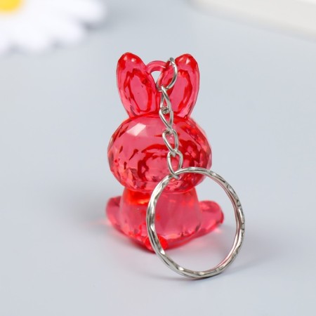Acryl keychain "Bunny Crystal" mix 4.5x2.5x2 cm-4