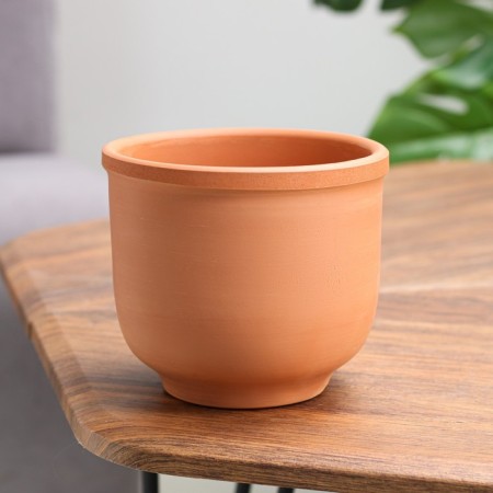 Flower pot "Dracaena" 1 l