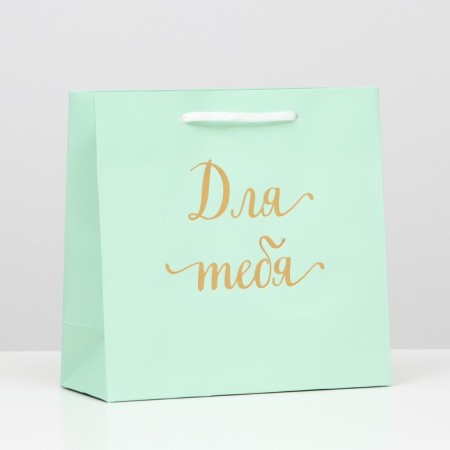Package gift craft "For you", Green, 22.5 x 23 x 10 cm, set 12 pcs.