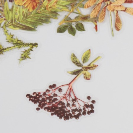 Stickers for creativity PLC PVC "Autumn Garden" set 40 pcs 9x10.5 cm-2