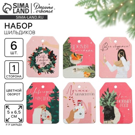 Schildik for a gift “Everything will come true!”, A set of 6 pieces, stylish girls, 16 x 24 cm, New Year