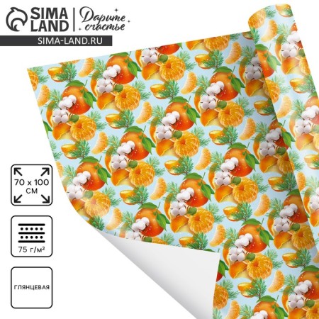 Paper Glossy “Mandarins”, 70 x 100 cm, New Year