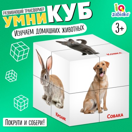 Developing transformer "smartik: pets"