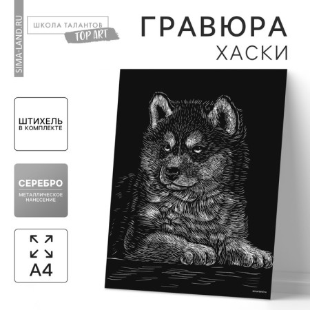Engraving "Puppy Husky" with a metallic effect "silver" A4