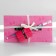 Gift set "Sklerznitsa affairs" Planing and pen