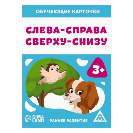 Training cards “On the left and right, from above-and-snake, 16 cards, 3+-2