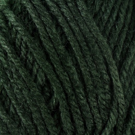 Yarn 100% acrylic "Softy Kids" 90m ± 5m 50 g color 41 forest-2