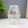 Night "Crystal" LED from 3xlr1130 batteries is transparent 6x6x10 cm Risalux