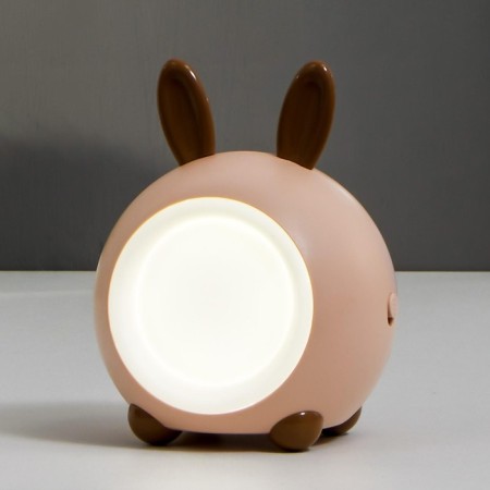 Night "Bunny" LED 2W mix 8x9x12 cm Risalux-2