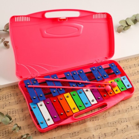 Musical tool Music Life, 25 tones, case, 2 sticks, pink