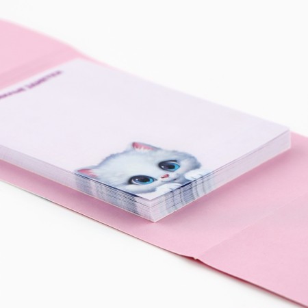 Block of paper for recordings with tear -off sheets, 50 liters "kitten"-2
