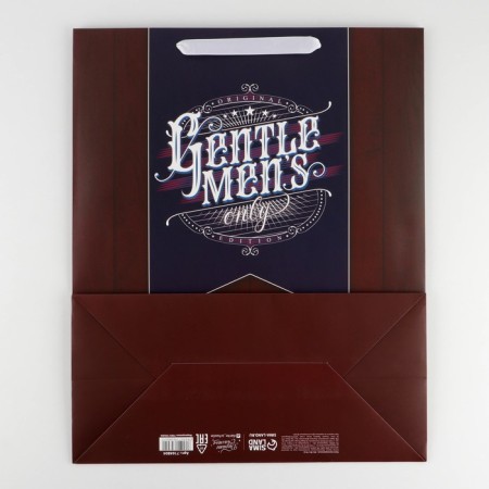 Gift laminated vertical, packaging, “most”, XL 40 x 49 x 19 cm-4