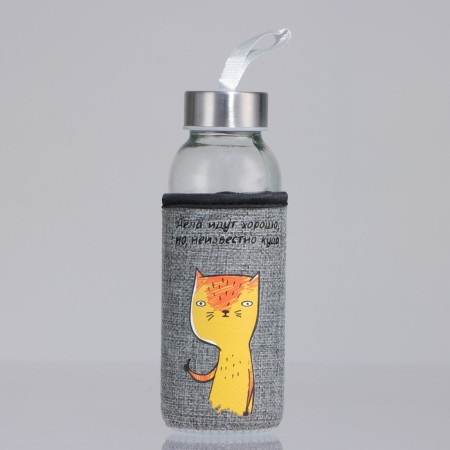 Water bottle in the case “things are going well”, 350 ml-1