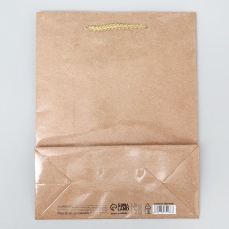 Gift Package Laminated, Packaging, Kraft, MS 18 x 23 x 8 cm-4