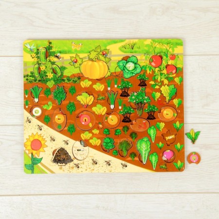 Set "Vegetables in the garden"