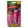 Flower seeds Dolphinium "Hyacinth", 0.3 g
