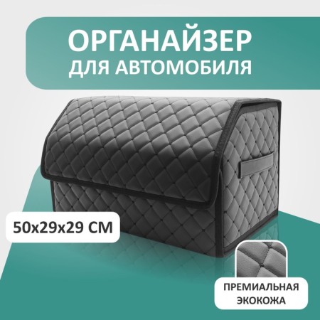 Organizer for Auto Defly 50x29x29 cm, black/black stuck