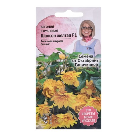 Club Flowers Club "Chanson Yellow F1", 6 pcs