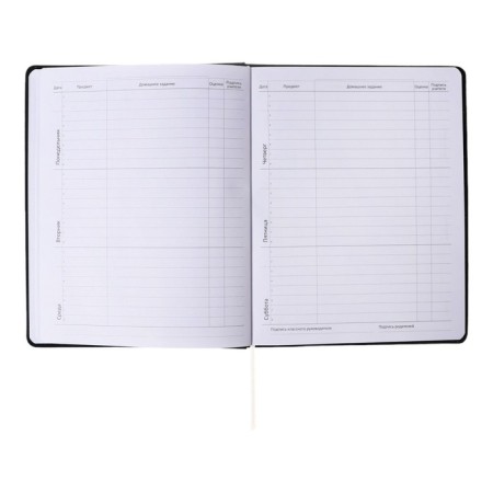 Universal diary for grade 1-11 Dark Brown, hard cover, artificial leather, foam rubber, lies, 80 g/m2-15