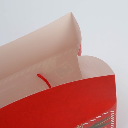 Package - Parse, 28 x 20 x 13 cm, New Year-5
