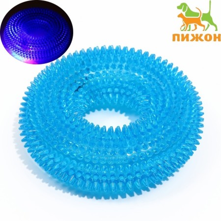 The toy luminous for dogs "chewing ring", tpr, 12 cm, blue-1