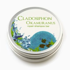 Organic hard shampoo, with 