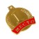 Medal prize 055 diam. 4.5 cm. 1 place. The color of evil. Without a tape
