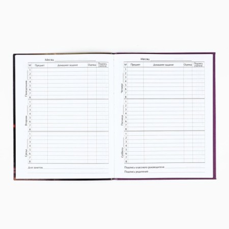 School diary for grade 1-11, in an integrated cover, 40 l. "Ballerina kitten"-2