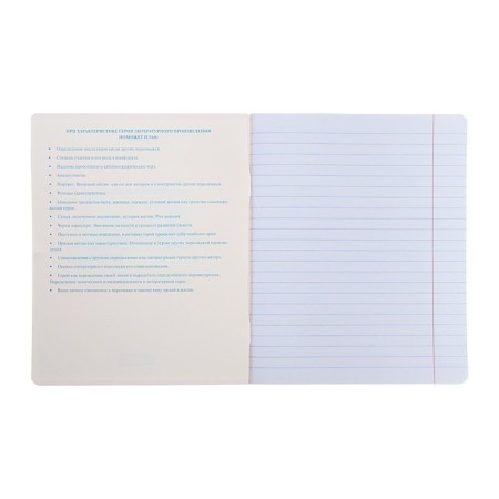 A set of subject notebooks of 48 sheets "Bright color", 10 items, covered cardboard, selective varnish-3