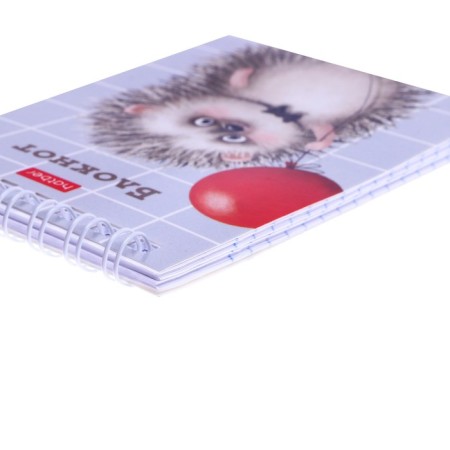 Notepad A7, 40 sheets on the crest in the cage "It is good to be a hedgehog", the cover coated cardboard, an offset block 65 g/m2-1