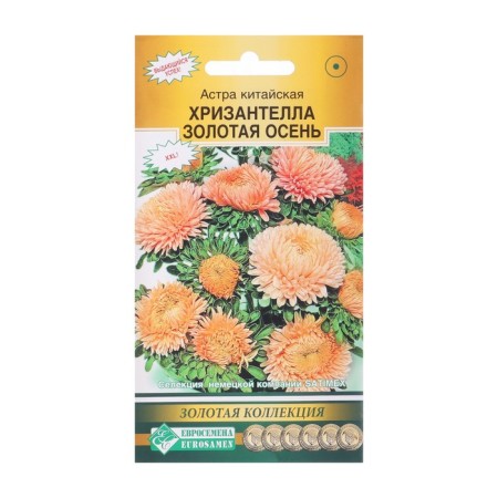 Seeds of flowers Astra Chinese "Chrysantella Golden Autumn", 5 pcs