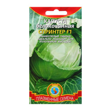 Cabbage Cabbage seeds "Sprinter"