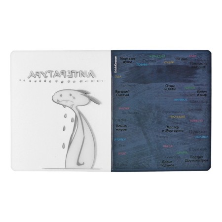 Subject notebook, 48 sheets, ruler, literature Erichkrause "Chubrik", plastic cover silk-screen cover, Blok Offset 100%, information block-2