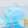 A cage for rodents "Pijon", equipped, 27 x 21 x 26 cm, blue