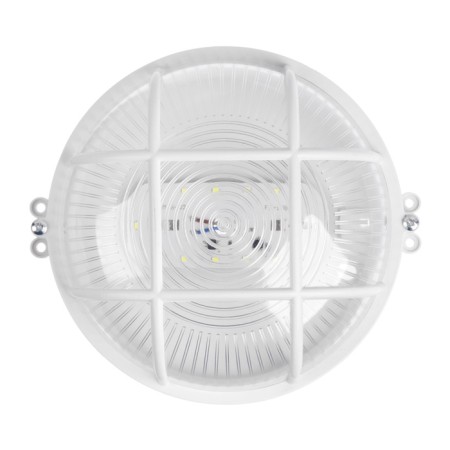 LED LED lamp, 8 W, IP54, 6500K, 220 V, plastic, white-1