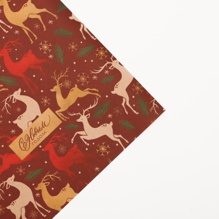 Package Crafts "Deer", 50 x 70 cm, New Year-2