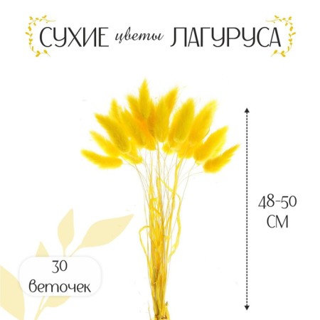 Sukhotzet "Lagurus", set of 30 pcs., Yellow color-1