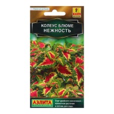 Seeds Kryus Bluem Tenderness MN Golden Series C/P 5 pcs