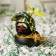 Duck with a propeller black, Hakki helmet