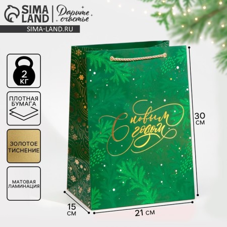 Laminated packet "Jashama", 21 x 30 x 15 cm, new year