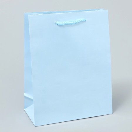 Gift Package Laminated, Packaging, Blue, MS 18 x 23 x 8 cm-2