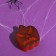 Set: Diary, Figure Baby Ball and soap of a "terrible holiday"