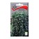 Dychondra flowers silver threads, 5pcs