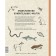Can a horse solve equations? And 320 more questions about animals. Matilda Masters