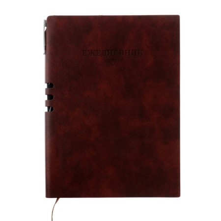 Deliciper of Leduced A5, 140 sheets in a cage, with a handle, leatherette cover, mix-5