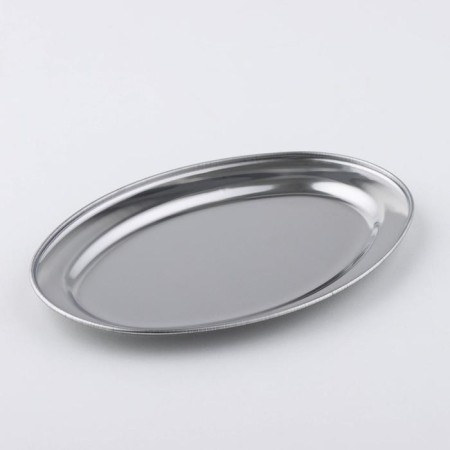 Stainless steel tray, 21.5 × 15 × 1.5 cm
