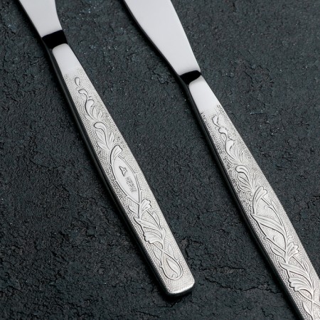 Control knife "Uralochka", h = 19.5 cm, thickness 2 mm, silver color-1