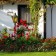 Decorative fence, 35 × 220 cm, 5 sections, plastic, brown, Romanika, Greengo