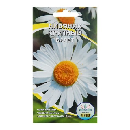Flowers Nivyannik, perennial, white 0.1 g