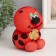 Growing gift Grass growing "God's ladybug"